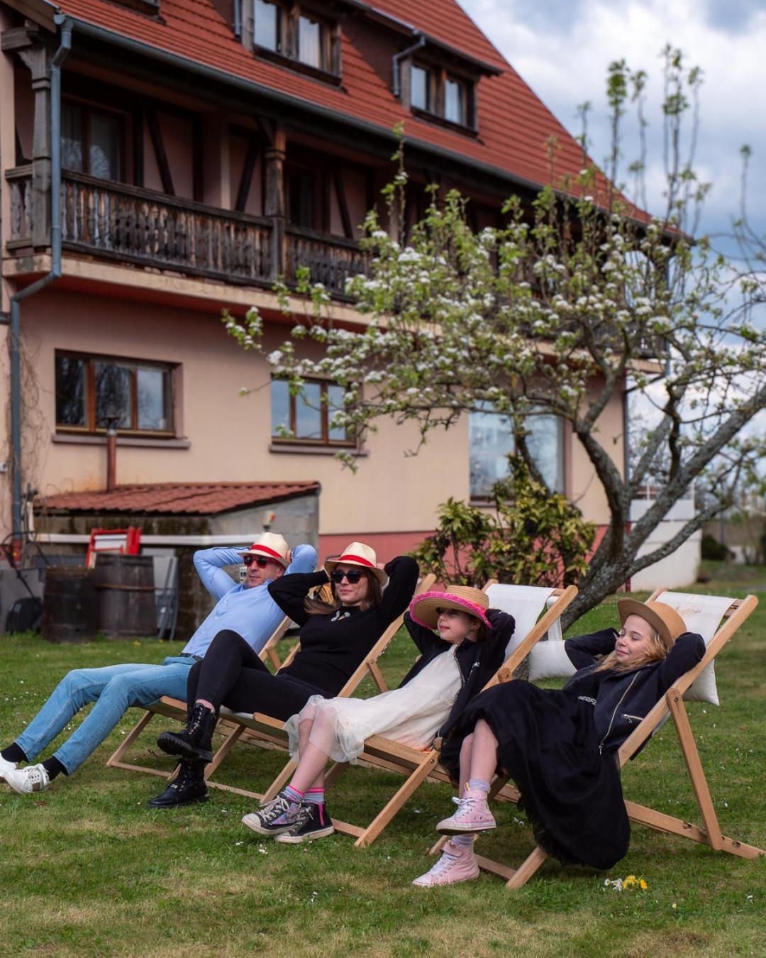 Hotel Restaurant Verger Des Chateaux, Route Des Vins Haut-Koenigsbourg Dieffenthal Екстер'єр фото