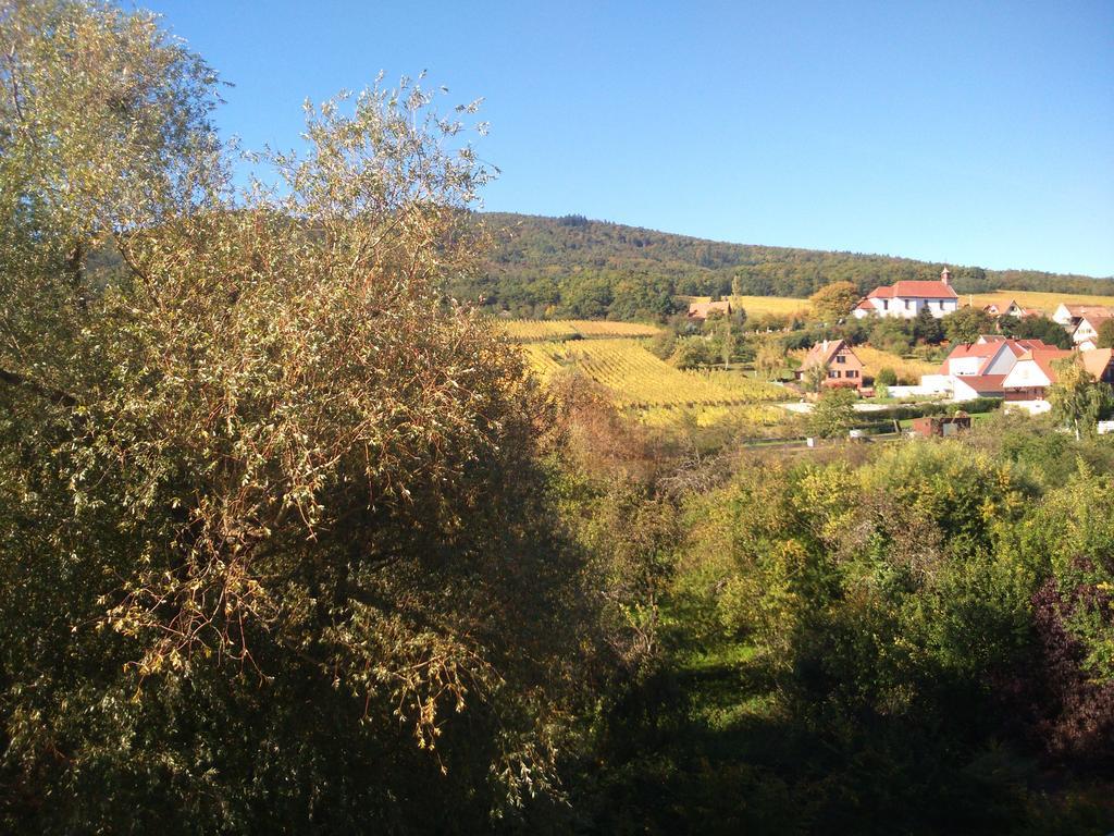 Hotel Restaurant Verger Des Chateaux, Route Des Vins Haut-Koenigsbourg Dieffenthal Екстер'єр фото