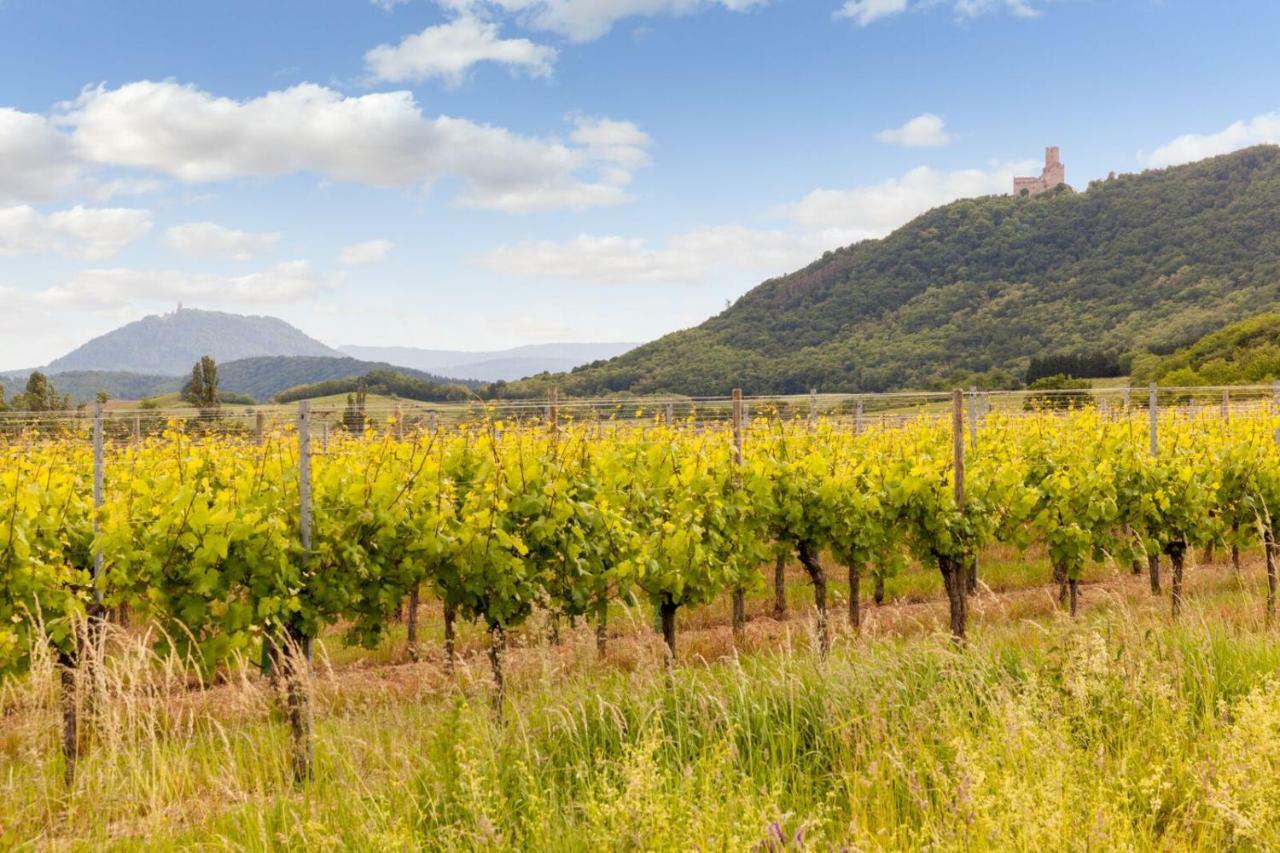 Hotel Restaurant Verger Des Chateaux, Route Des Vins Haut-Koenigsbourg Dieffenthal Екстер'єр фото